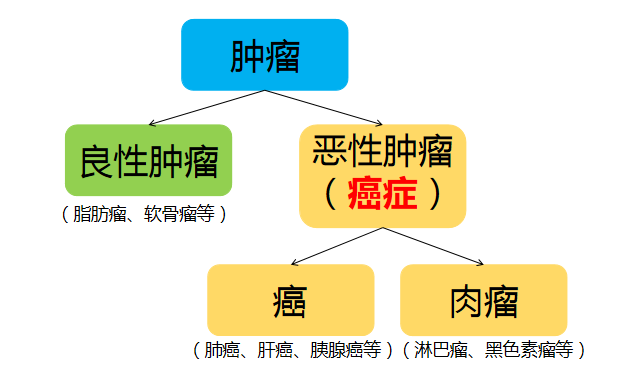 1692419056489065.png 圖片2.png