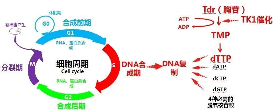 1692419672748013.jpg 微信圖片_20230728161910_1.jpg
